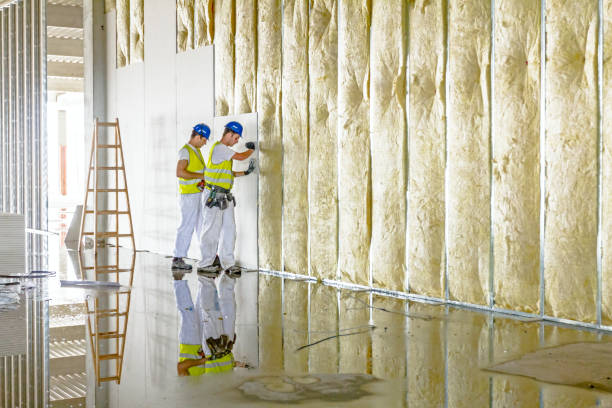 Best Types of Insulation in Waikapu, HI